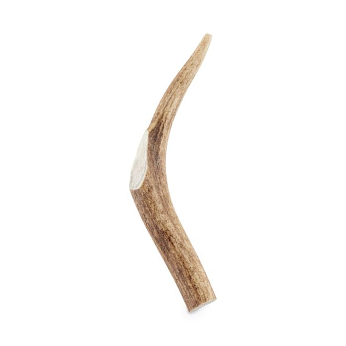 Good Lovin' Naturally Shed Medium Deer Antler Dog Chew