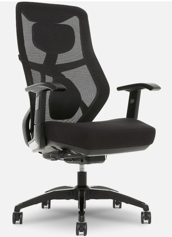 Beautyrest Duo-EX Ergonomic Mesh Swivel Task Chair Black/Gray (60051GRY)