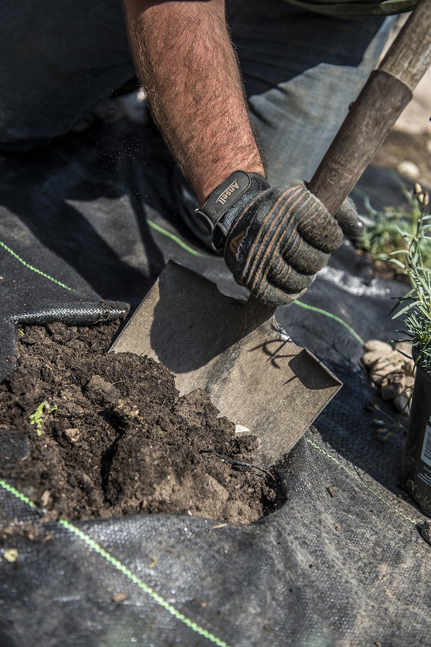 Ansell ActivArmr 97-008 Multipurpose Medium Duty Gloves (1 Pair)