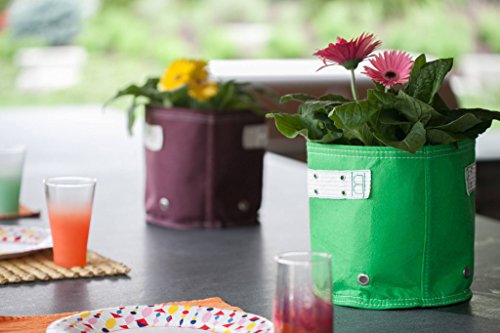 BloemBagz Classic Line Planter