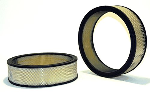 Napa Gold 2043 Air Filter