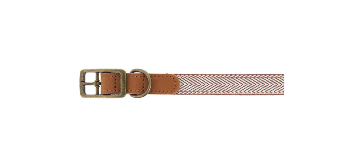 Top Paw Woven Leather Dog Collar in Tan Size: Medium