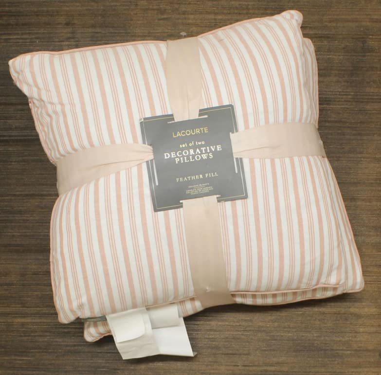 Lacourte Chauncey Set of Two Feather Filled Throw Pillows Terracotta 20 X 20 Dec Pillow Blush