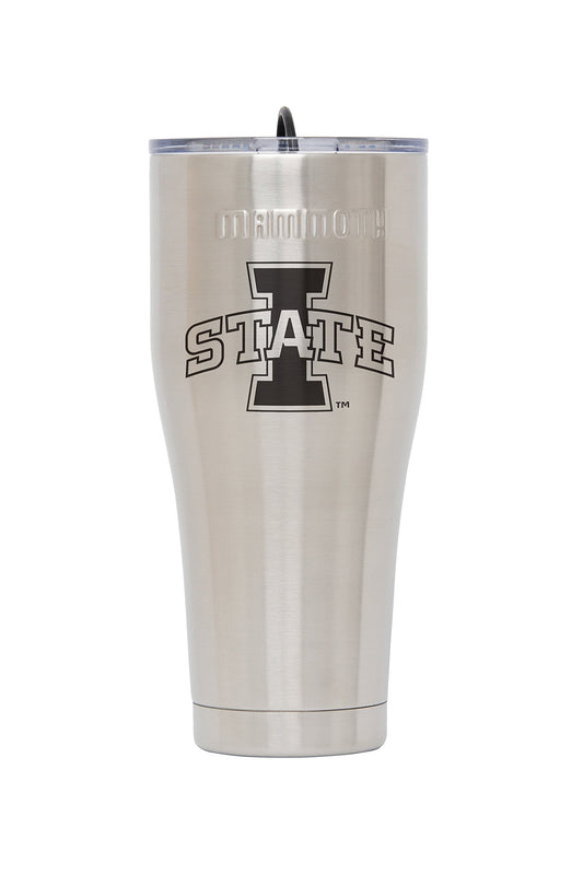 Mammoth Coolers Collegiate Drinkware Rover Iowa State Double Wall Vacuum Insulated Steel 30 oz Bottle, Stainless, Large