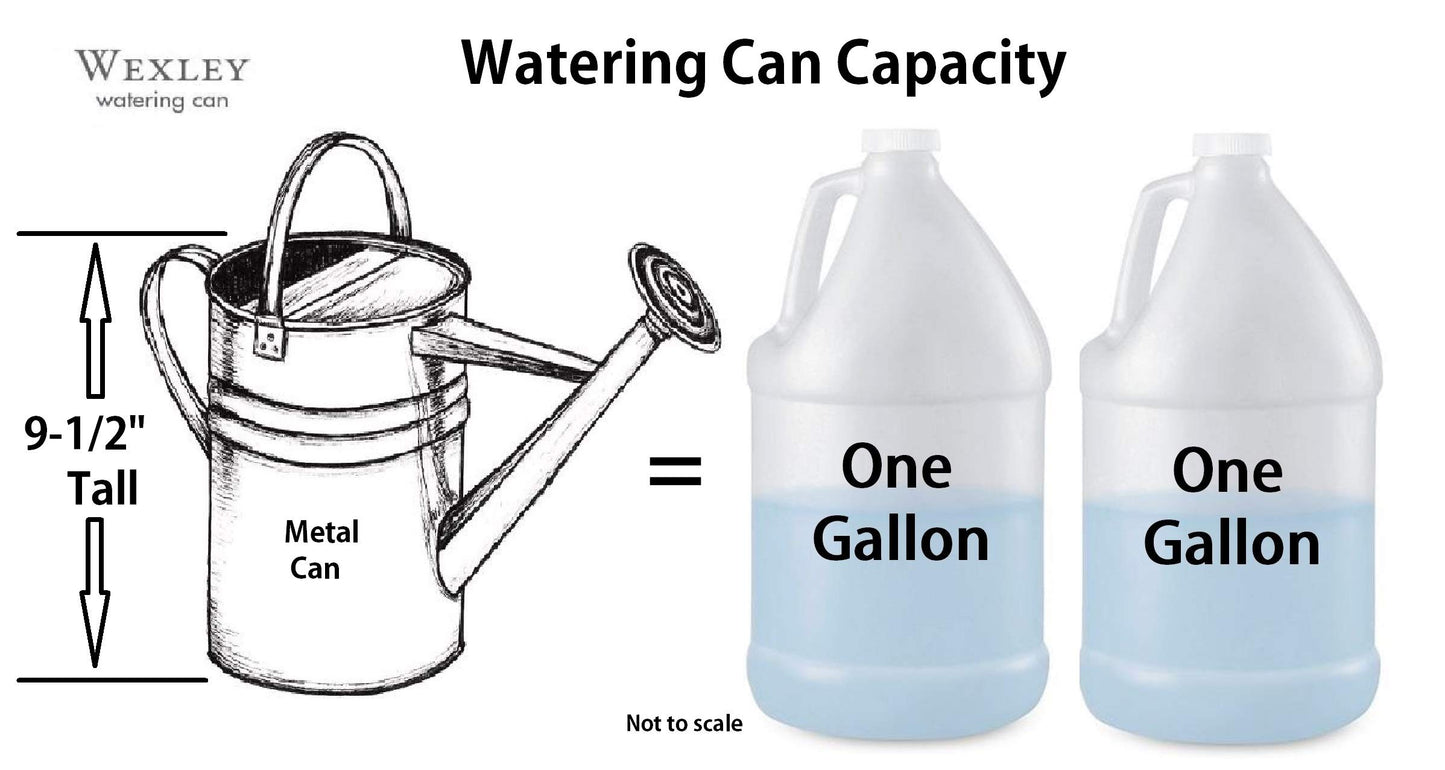 Robert Allen Wexley Metal Watering Can