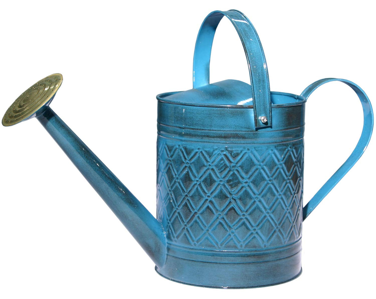 Robert Allen Wexley Metal Watering Can