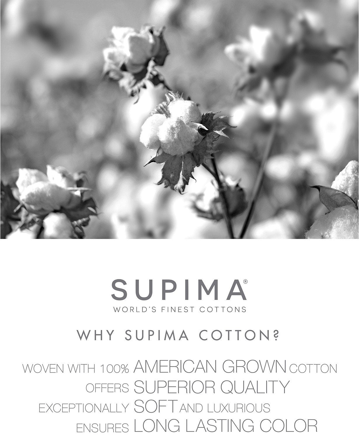 Charter Club Damask Solid 550 Thread Count Supima Cotton King Duvet Cover Horizon (Sky Blue)