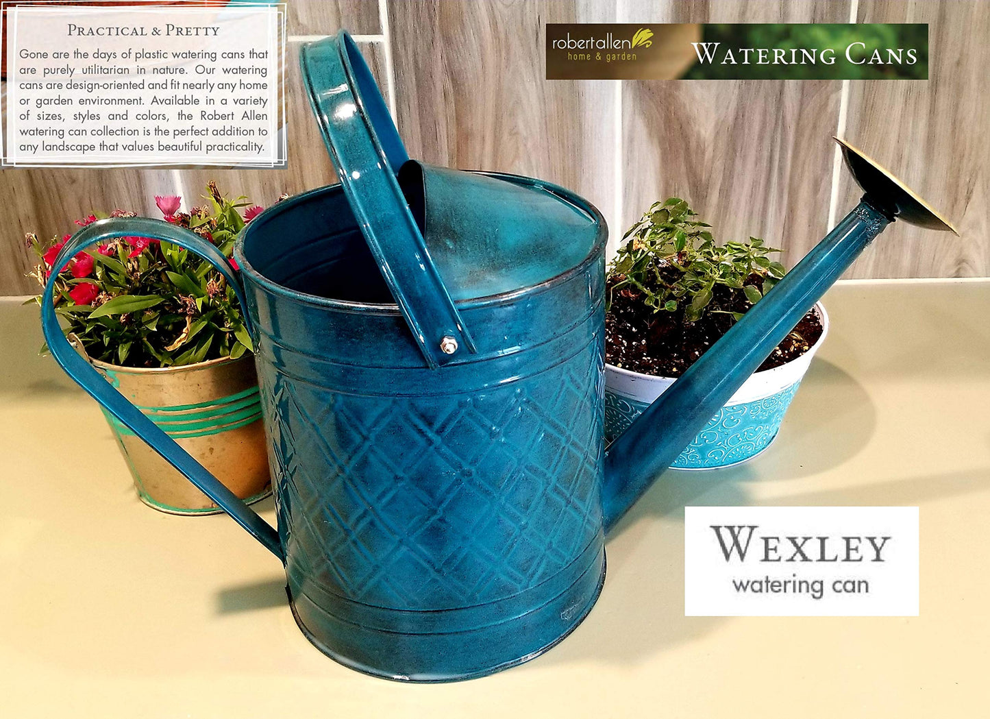Robert Allen Wexley Metal Watering Can