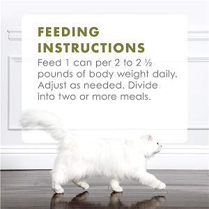 Fancy Feast Gourmet Naturals with Added Vitamins, Minerals & Nutrients Natural White Meat Chicken Recipe in Gravy (12 cans -3 OZ Cans)