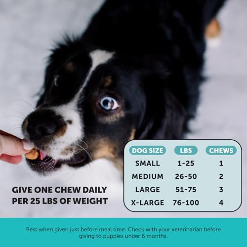Pet Honesty Hemp Calming Chews for Dogs - Dog Anxiety Relief, Dog Calming Treats with Hemp + Valerian Root, Melatonin for Dogs - Helps Aid with Thunder, Fireworks, Chewing & Barking