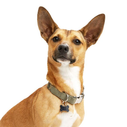 Reddy Green Camo Dog Collar