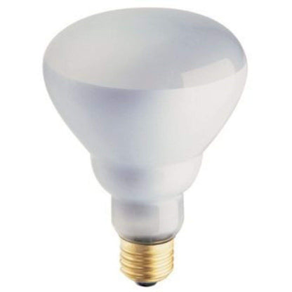 Philips Phillips Soft White 65-Watt BR30 Indoor Flood Light Bulb,