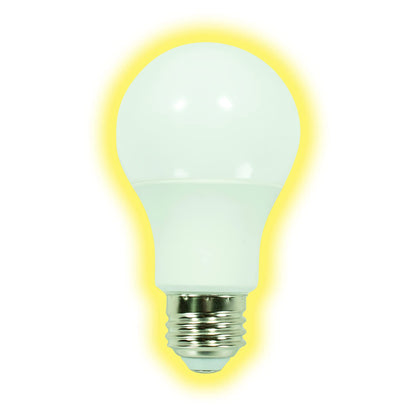 GT-Lite Multipack Bulbs…