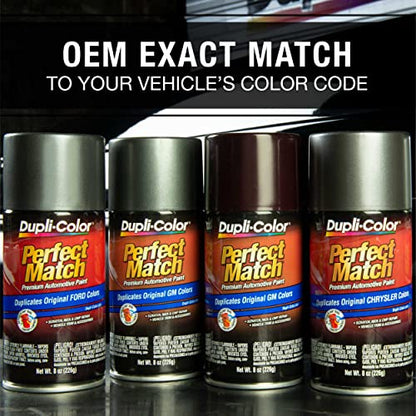 Dupli-Color (BNS0604-6 PK Precision Gray Nissan Perfect Match Automotive Paint