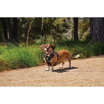 Good2Go Black Front Walking Dog Harness, Medium