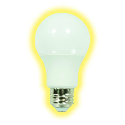 GT-Lite Multipack Bulbs…