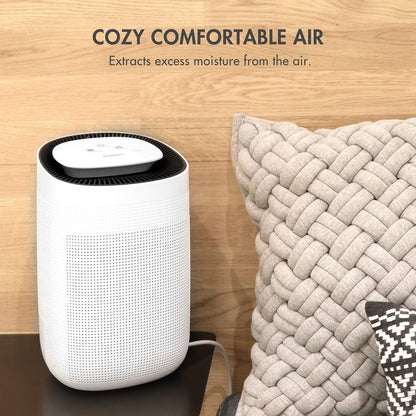 Tenergy Sorbi 1000ml Air Dehumidifier and Air Purifier True HEPA Ultra Quiet
