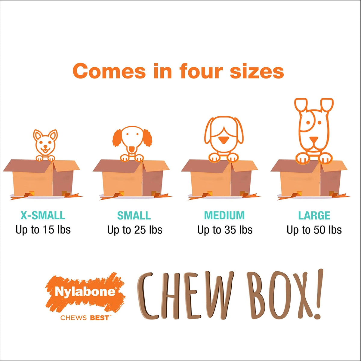 Nylabone Chew Toy Dog Surprise