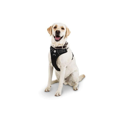 Good2Go Black Front Walking Dog Harness, Medium