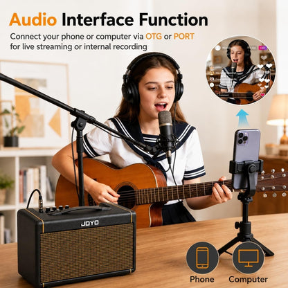 20W Acoustic Guitar Amp Battery-Powered Portable Stereo Amplifier with Blueto...