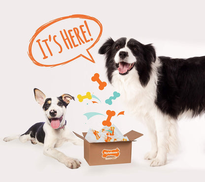 Nylabone Chew Toy Dog Surprise