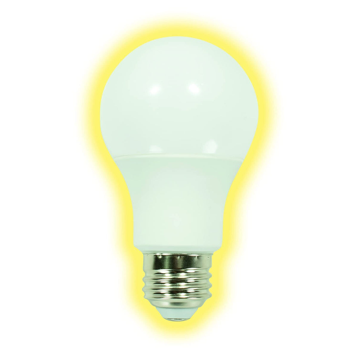 GT-Lite Multipack Bulbs…