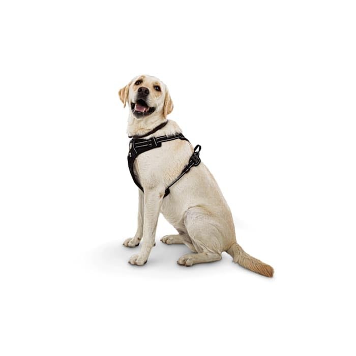 Good2Go Black Front Walking Dog Harness, Medium