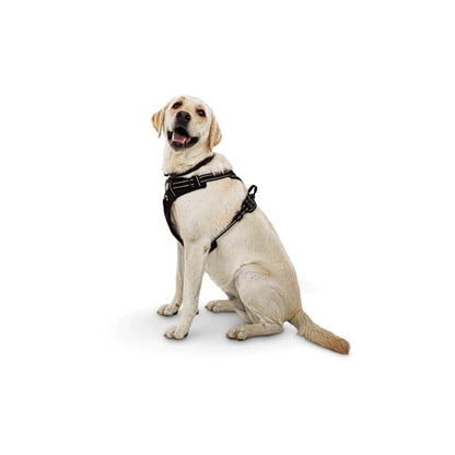 Good2Go Black Front Walking Dog Harness, Medium