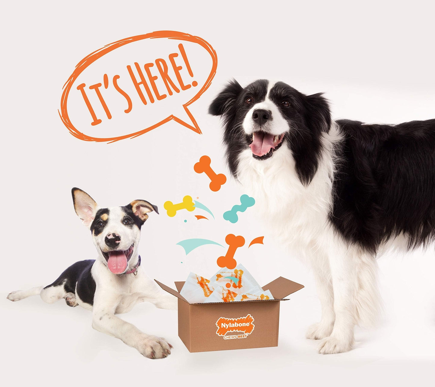 Nylabone Chew Toy Dog Surprise