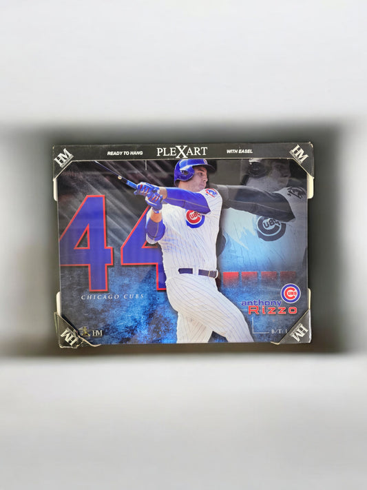 Anthony Rizzo Plex Art