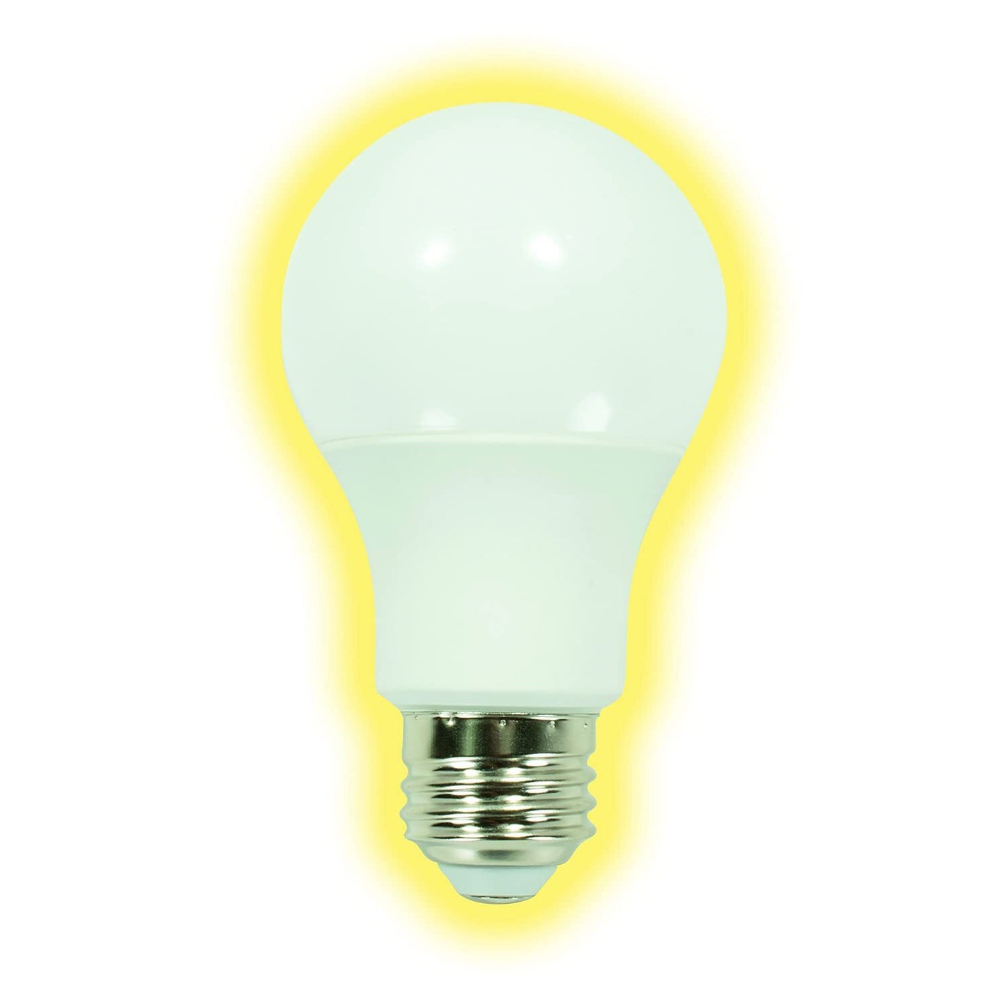 GT-Lite Multipack Bulbs…