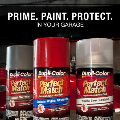 Dupli-Color EBFM02267 Perfect Match Automotive Spray, Ford Silver Metallic, 1E