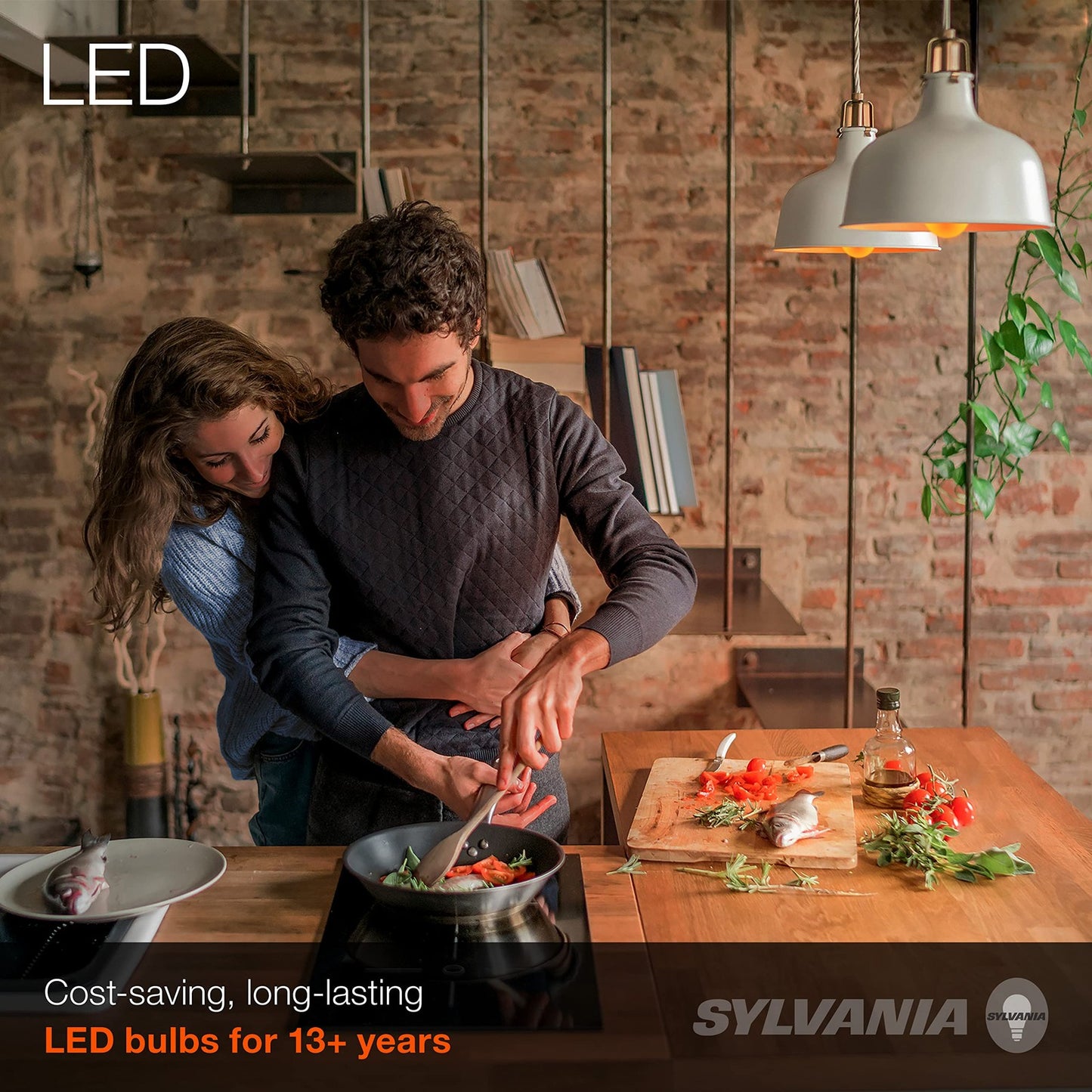 Sylvania A19 LED Vintage Light