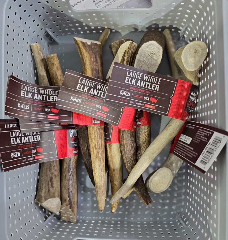Good Lovin' Large Whole Elk Antler Dog Chew, Single