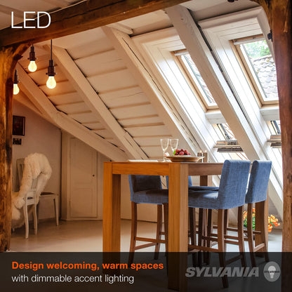 Sylvania A19 LED Vintage Light