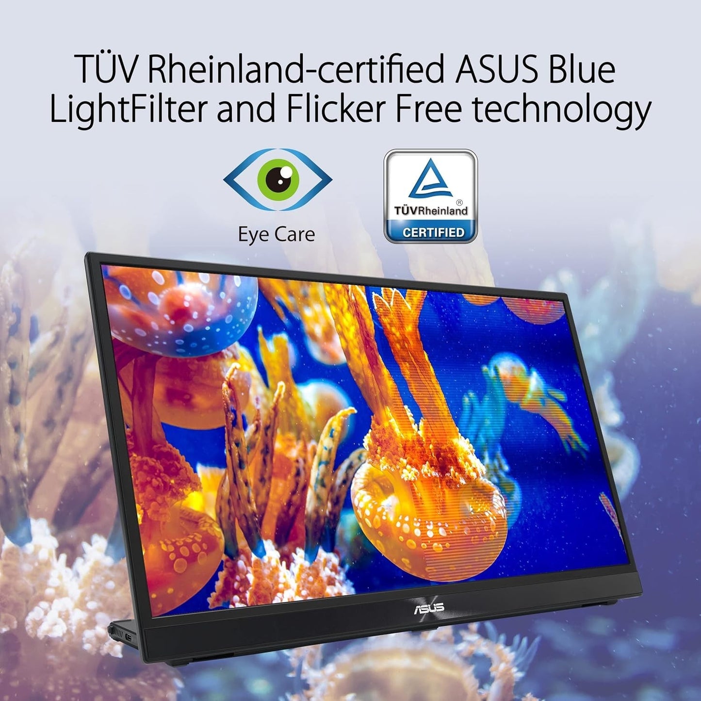 Asus ZenScreen MB17AHG 17.3" Full HD LED Monitor - 16:9