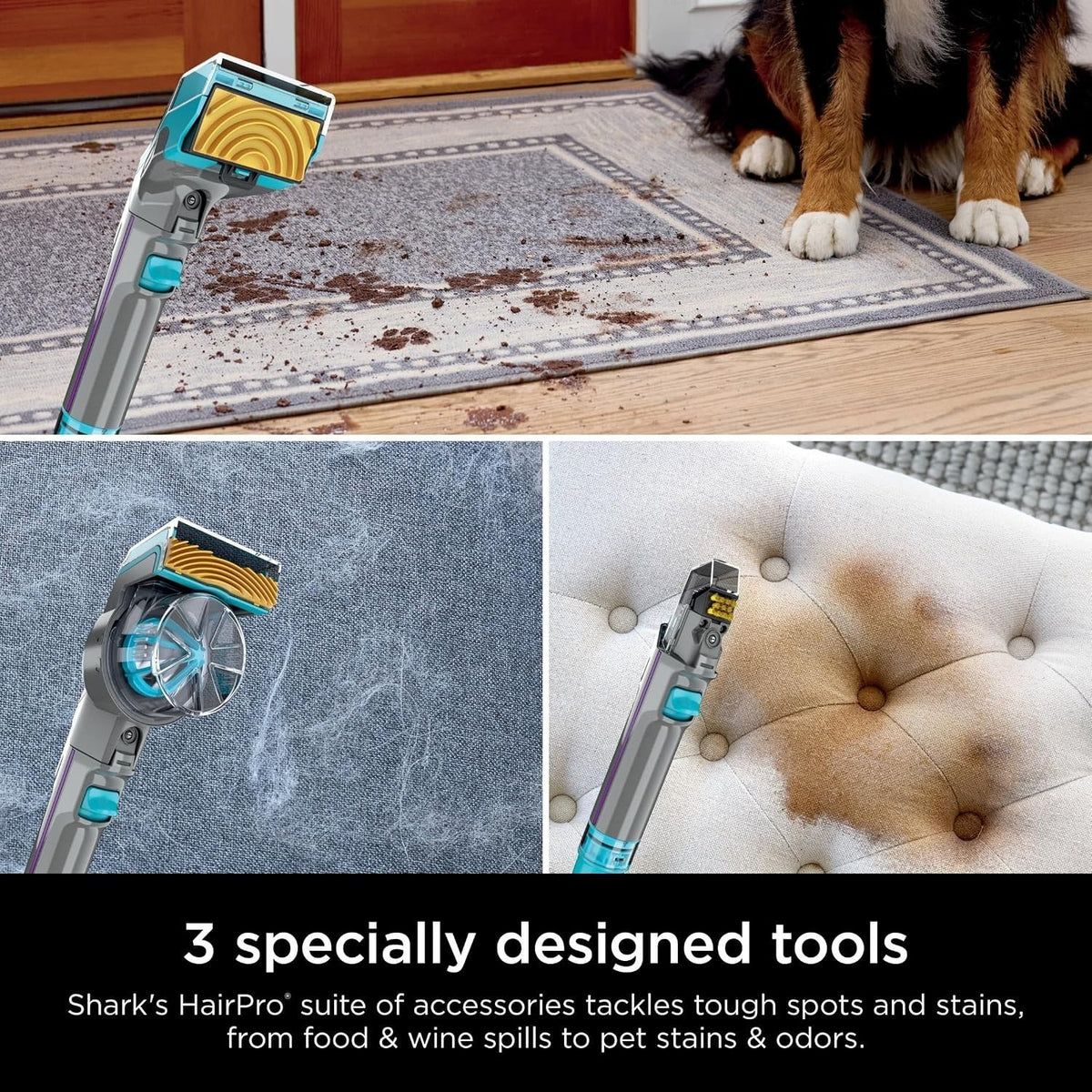 Shark CarpetXpert HairPro with StainStriker, Upright Carpet Cleaner EX300
