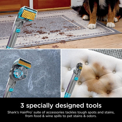 Shark CarpetXpert HairPro with StainStriker, Upright Carpet Cleaner EX300