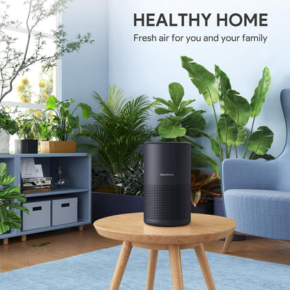 FULMINARE Air Purifier Black
