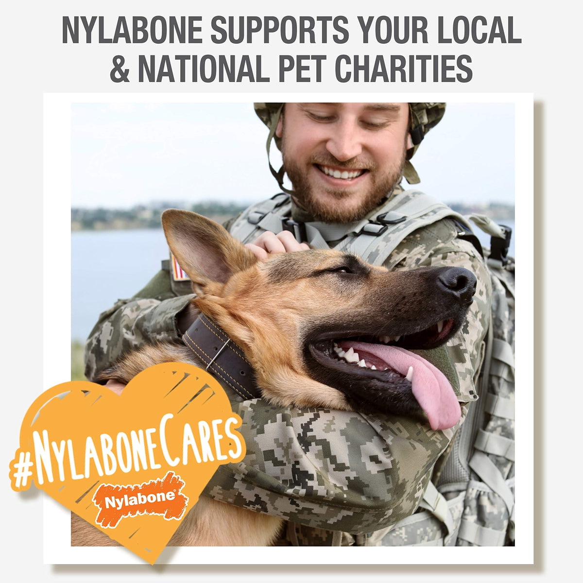 Nylabone Chew Toy Dog Surprise