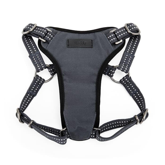 Reddy Step in Small Dog Harness, Grey, Medium