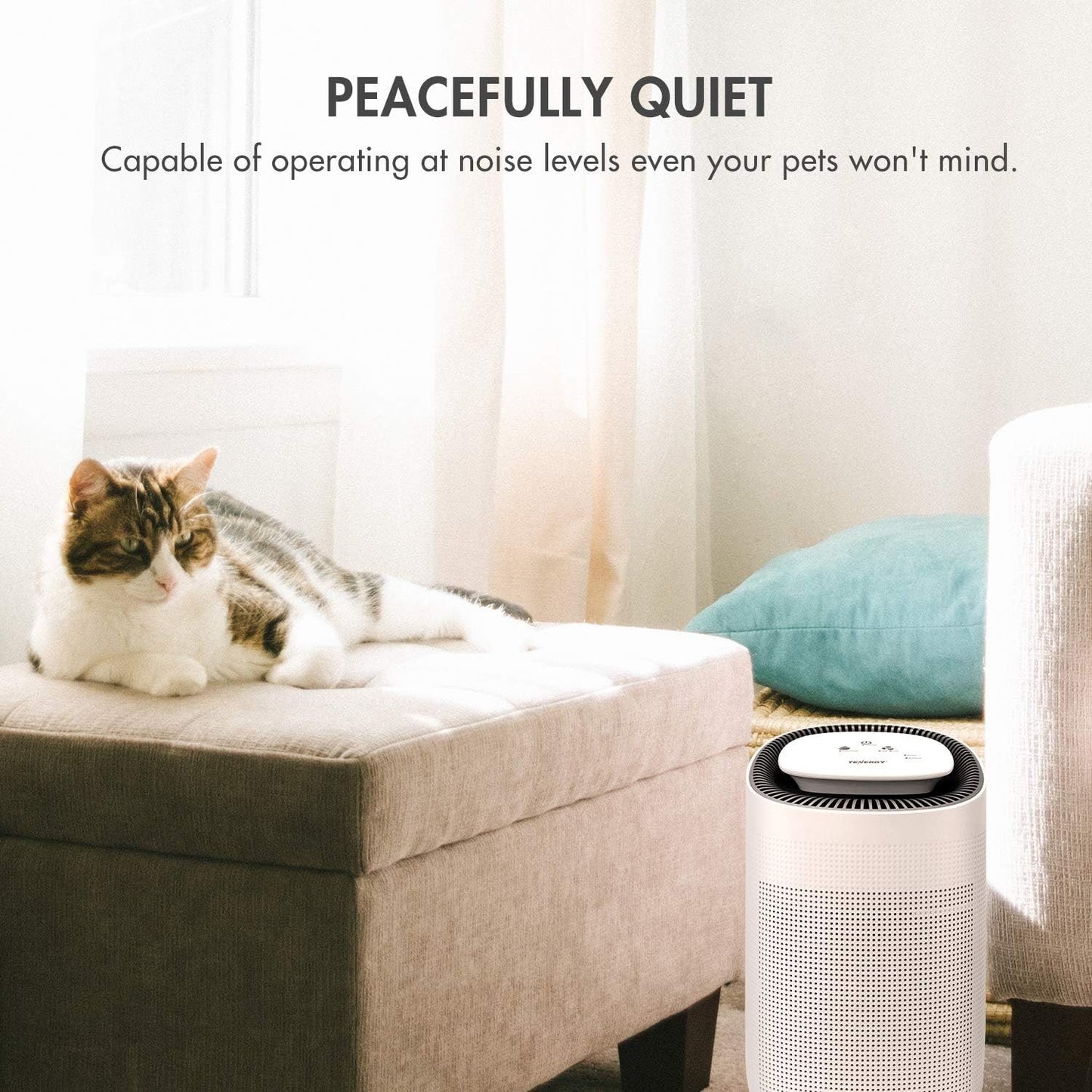 Tenergy Sorbi 1000ml Air Dehumidifier and Air Purifier True HEPA Ultra Quiet
