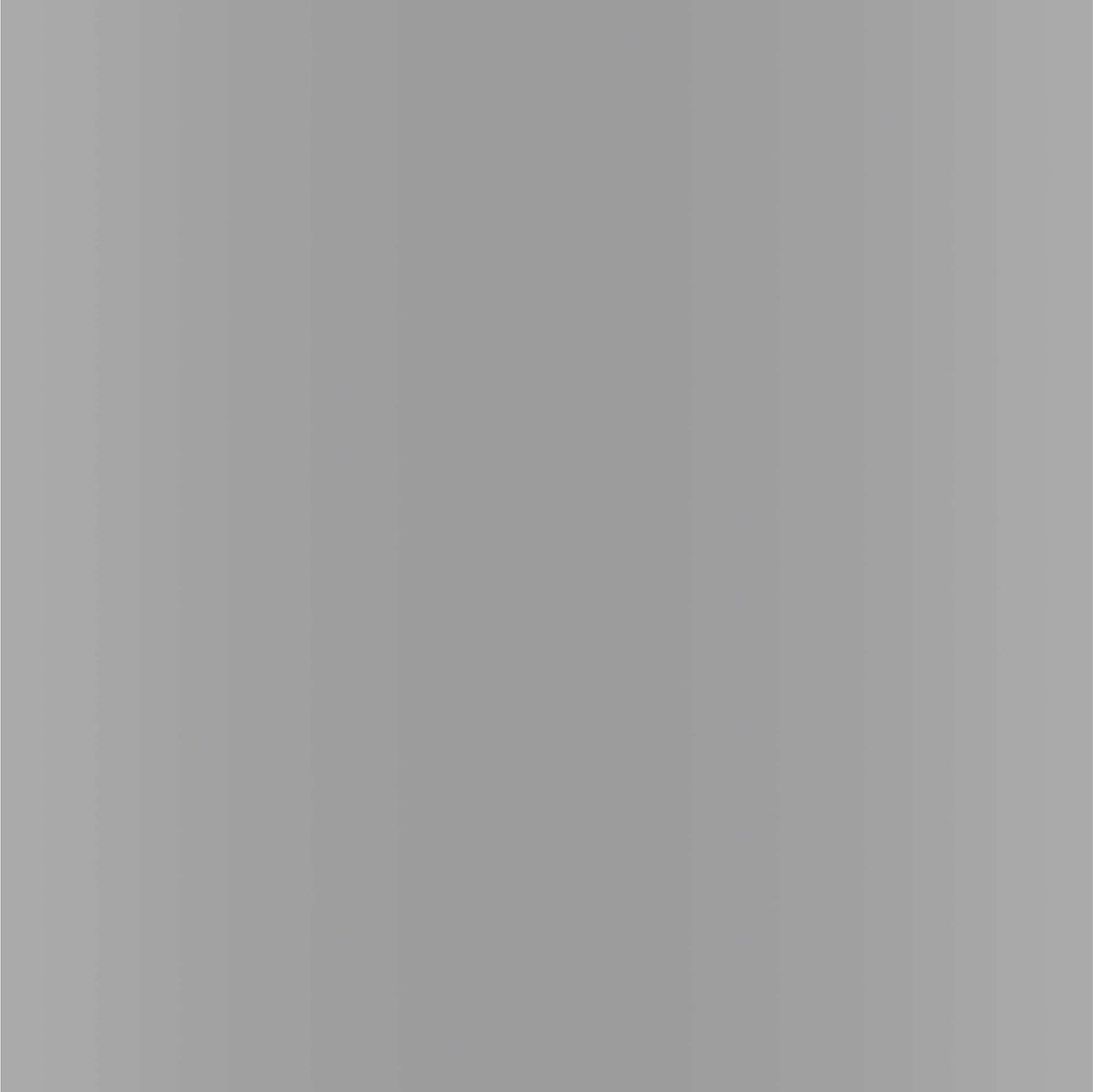 Dupli-Color EBFM02267 Perfect Match Automotive Spray, Ford Silver Metallic, 1E