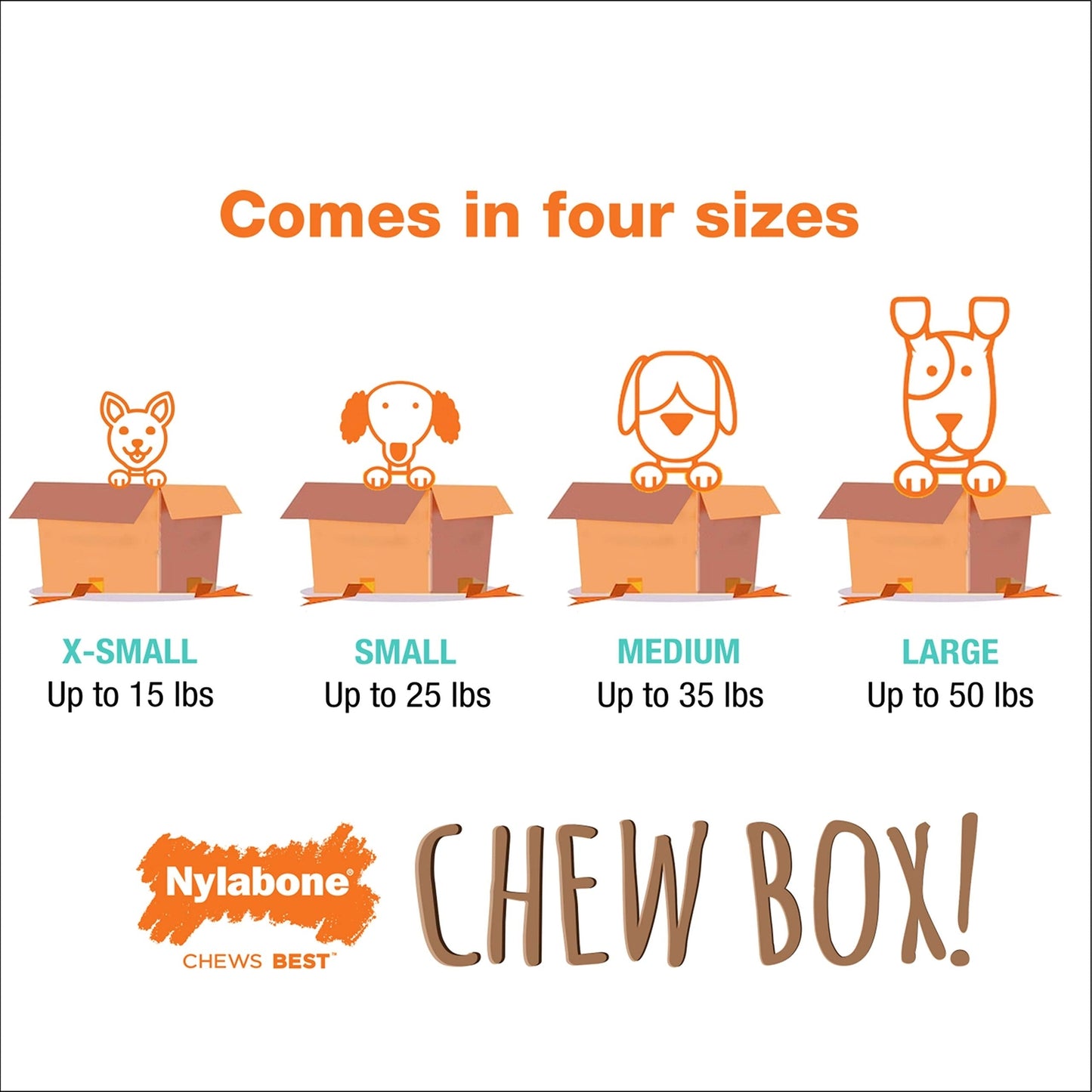 Nylabone Chew Toy Dog Surprise