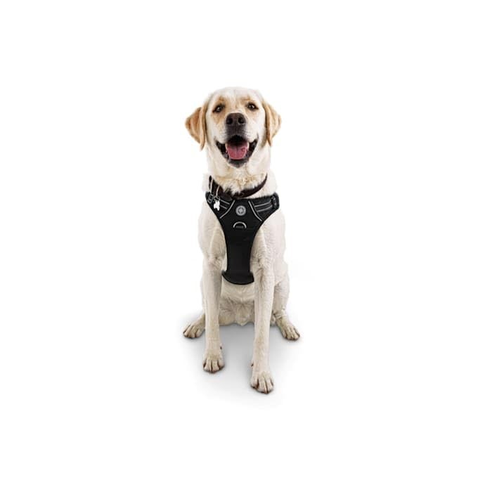 Good2Go Black Front Walking Dog Harness, Medium