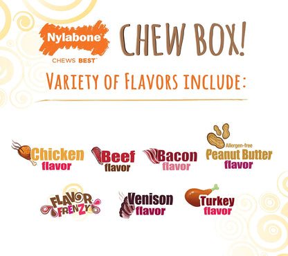 Nylabone Chew Toy Dog Surprise