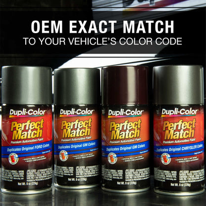 Dupli-Color EBFM02267 Perfect Match Automotive Spray, Ford Silver Metallic, 1E