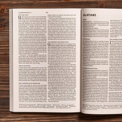 Here's Hope New Testament: Christian Standard Bible