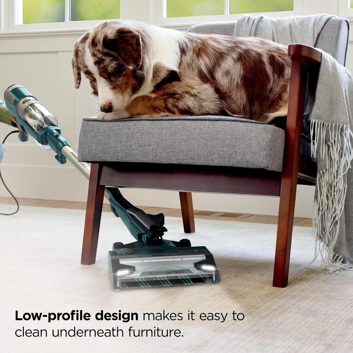 Shark POWERDETECT Corded Stick Vacuum, DuoClean & Odor Neutralizer Technology