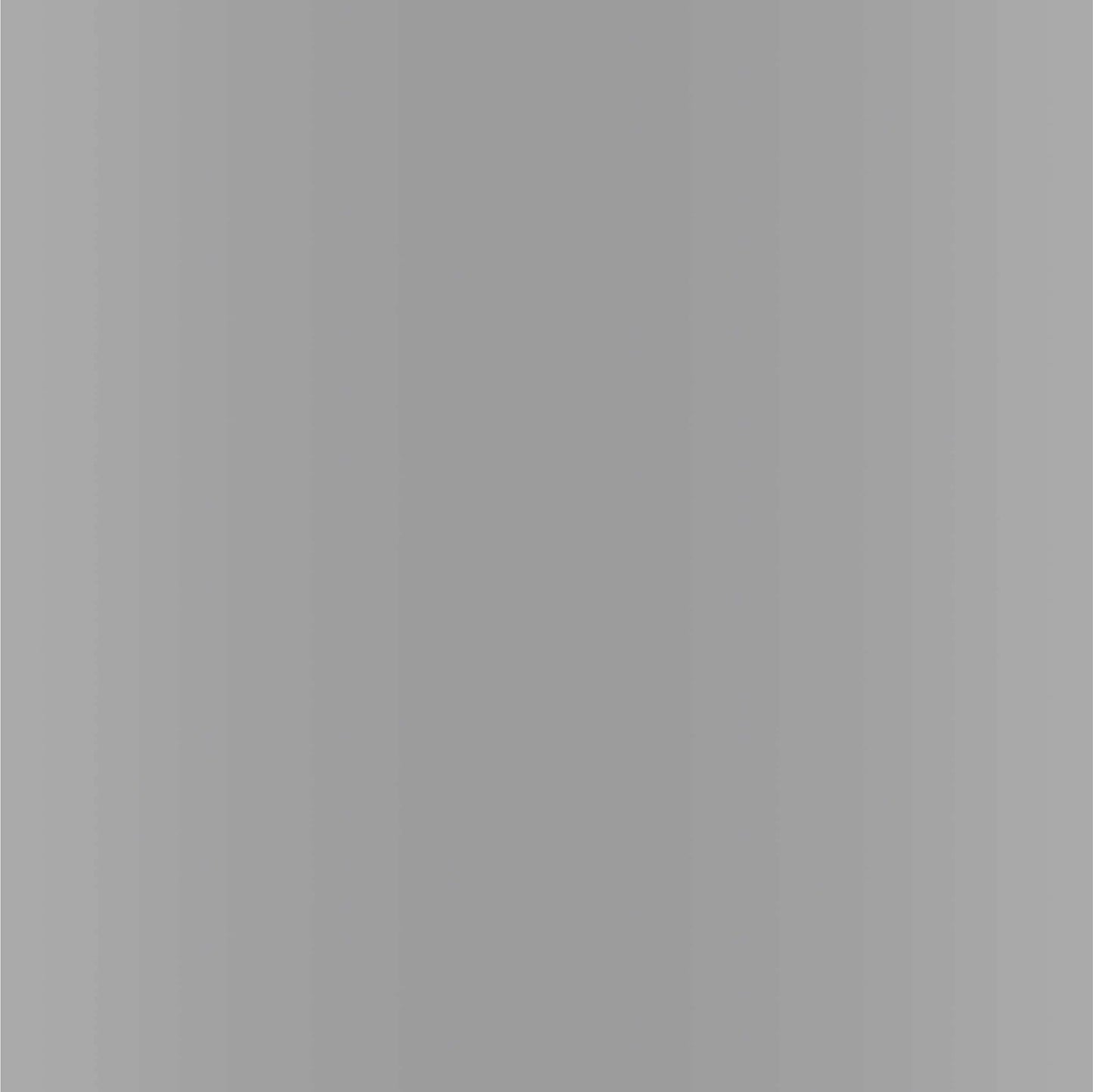 Dupli-Color EBFM02267 Perfect Match Automotive Spray, Ford Silver Metallic, 1E